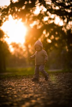 Toddler walking in the park, shoot against the sun