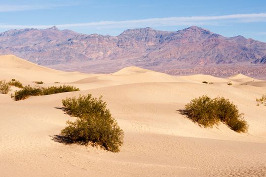 The wind piles up sand on the valley floor