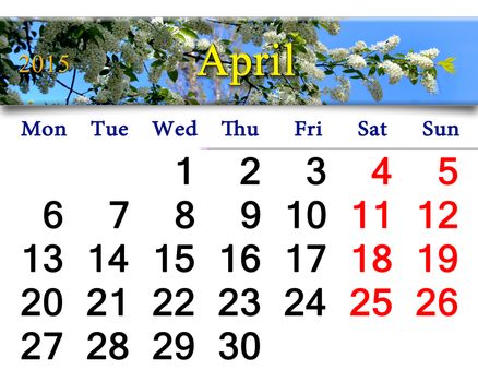 calendar for April of 2015 year on the background of spring bird cherry tree