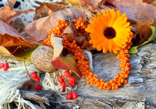 Handmade glass beads necklace (bracelet) on autumn-style background