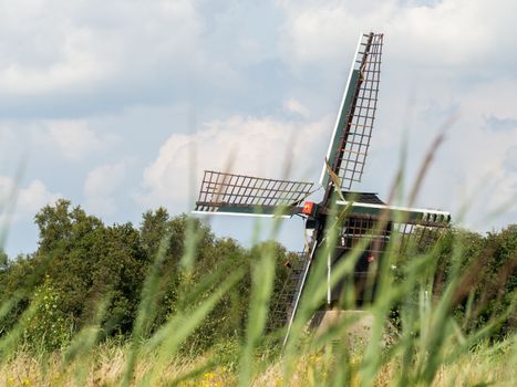 Dutch windmill pops out behind long strands of grass in Weerribben, Netherlands