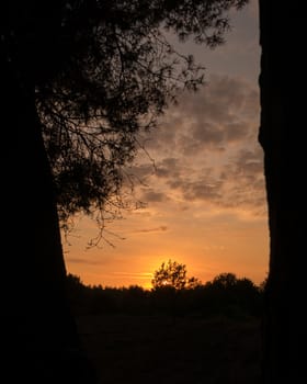 Silhouette sunset framed through opening in the trees