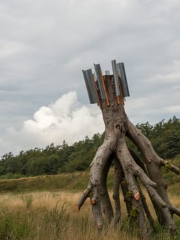 Natural tree trunk abstract artwork in Dutch nature reserve