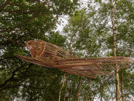 Model airplane made of twigs hanging in a forest