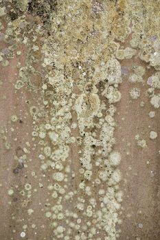 Stone texture background with closeup detail