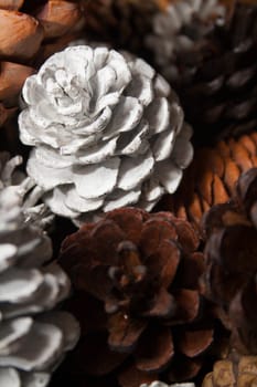 A close up of a group of painted pine cones.