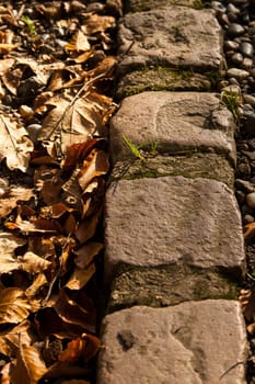 Four stones line the edge of a path, shot in autumn.