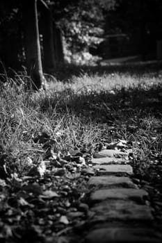 A film noire, low angle shot of the edge of a path.