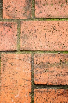 A close up shot of some brick work.