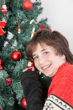 10-12, anticipation, backroud, ball, balls, boy, camera, casual, caucasian, christmas, christmastime, decorating, decorations, eyes, glass, green, holding, holiday, home, indoors, juice, look, looking, male, model, old, people, property, red, releases, situation, teenager, tree, vertical, white, years, portrait