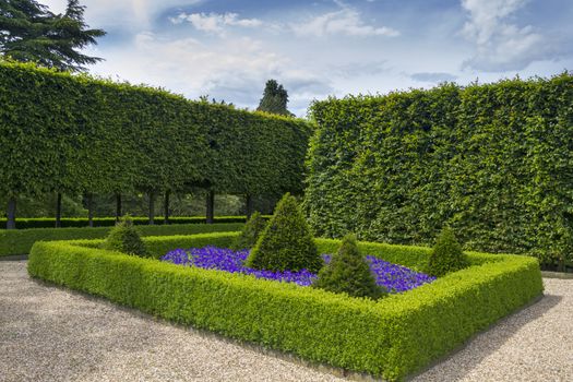 Beautiful geometrical design Formal garden