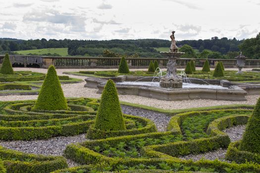 Beautiful geometrical design Formal garden