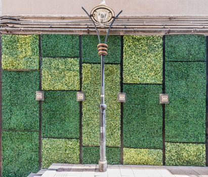 grass wall wall  doors entrance design at Soho Central in Hong Kong