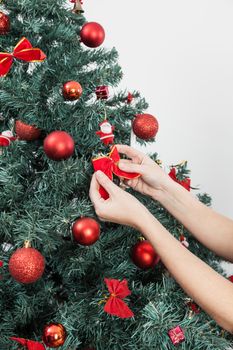 30-35, arms, background, bow, celebration, christmas, december, decorating, decoration, decorative, female, fingers, green, hand, hands, holding, holiday, home, indoors, lights, model, old, person, property, red, releases, ribbon, season, tree, white, winter, woman, xmas, years
