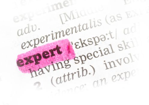 Expert  Dictionary Definition single word with soft focus