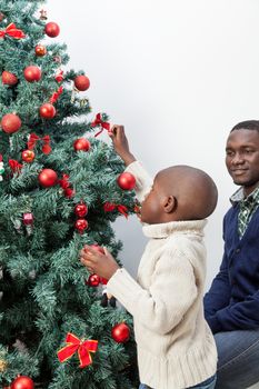 30-35, 4-6, african, apartment, ball, balls, black, boy, celebration, child, christmas, cute, decoration, family, festive, happy, home, homey, house, joyful, kid, life, lifestyle, little, living, love, male, model, old, one, person, portrait, pretty, property, relationship, releases, room, time, tree, vertical, years, young, father, smile