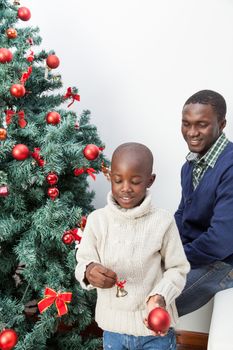 30-35, 4-6, african, apartment, ball, balls, black, boy, celebration, child, christmas, cute, decoration, family, festive, happy, home, homey, house, joyful, kid, life, lifestyle, little, living, love, male, model, old, one, person, portrait, pretty, property, relationship, releases, room, time, tree, vertical, years, young, father, smile