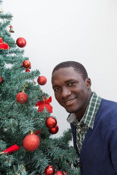 30-35, adult, african, background, balls, beautiful, black, celebration, cheerful, child, christmas, cute, decoration, festive, festivity, handsome, happy, home, homey, indoors, joyful, lifestyle, living, male, man, model, old, one, person, portrait, property, red, releases, room, smiling, time, tree, vertical, white, xmas, years