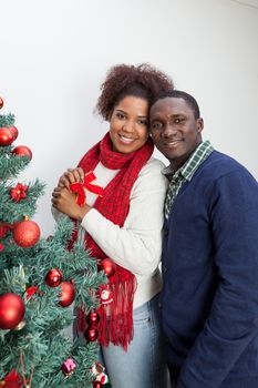 30-35, adult, african, background, balls, beautiful, black, celebration, cheerful, child, christmas, couple, cute, decoration, festive, festivity, handsome, happy, home, horizontal, house, household, husband, joyful, living, love, male, man, model, old, person, portrait, property, releases, room, smile, smiling, tree, two, white, wife, xmas, years