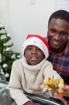 30-35, 4-6, african, apartment, background, beautiful, black, bun, celebration, cheerful, child, christmas, cute, dad, family, father, gift, hair, happiness, happy, hat, home, homey, house, kid, leisure, life, living, model, old, parent, person, portrait, pretty, property, red, releases, room, sitting, son, together, tree, two, vertical, xmas, years, young