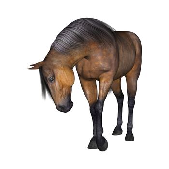 3D digital render of a horse isolated on white background