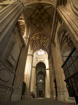 public cathedral of Salamanca city in Castilla Spain