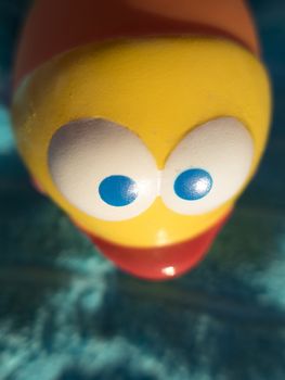 closeup of white and blue eyes of yellow fish plastic toy