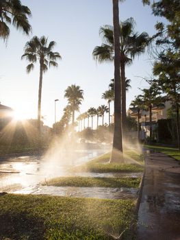 watering lawn at dawn street in Benalmadena Andalucia Spain