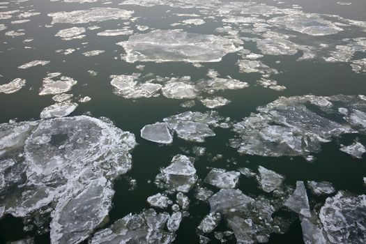 Ice sheets floating on the river