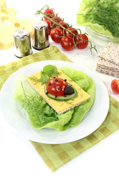 Crispbread with cheese, cucumber and ladybug on a light background