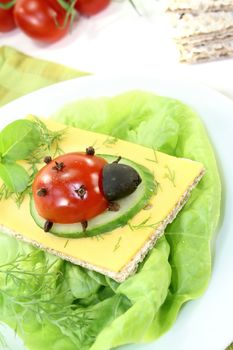 Crispbread with cheese, dill and ladybug on a light background