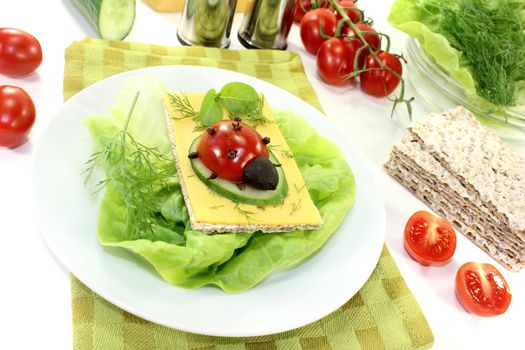 Crispbread with cheese, basil and ladybug on a light background