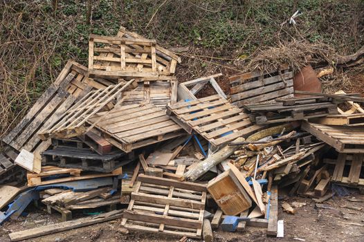 Fly tipping of wooden waste