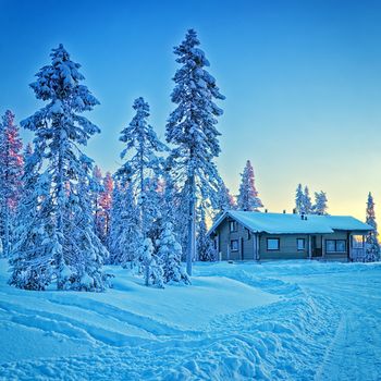 Cottage in snowy winter forest