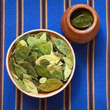 Dried coca leaves in clay bowl with fresh coca tea (mate de coca) on the side, photographed with natural light 