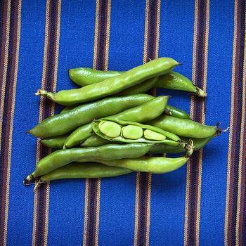 Fresh raw fava beans (lat. Vicia faba, South America: haba), photographed with natural light 