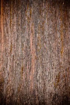 Wood background