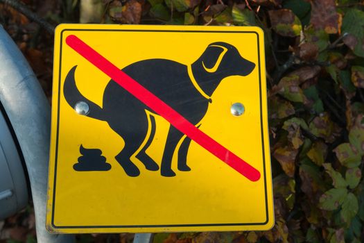 Sign of no dog shit keep city clean