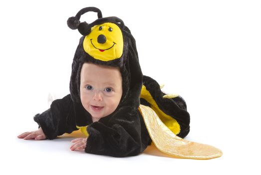 baby boy dressed up like bee on white background