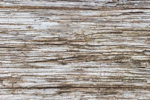 close up old wood texture