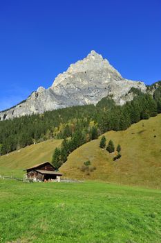 A Swiss chalet high in the alps, in green fields with a mountain in the background. Space for text in the clear blue sky