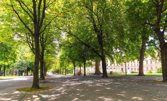 Bastions park in summer with beautiful big trees, Geneva, Switzerland