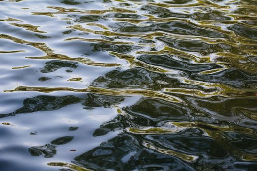 water ripples texture in spring