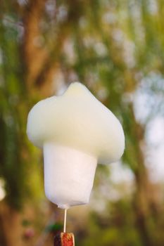 Chinese spun sugar,street food  of China