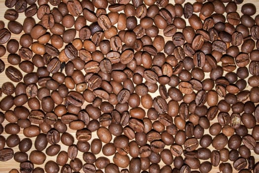 Raw coffee beans as background.