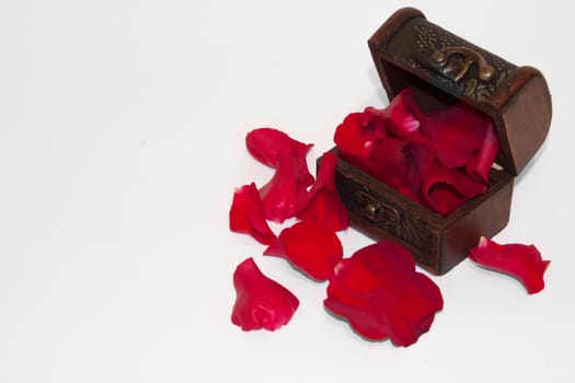 Red rose petals in the wooden chest on the white background.