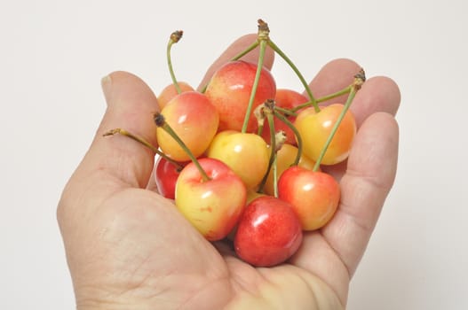Cherries