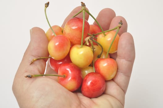 Cherries