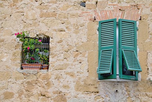 Photo shows a detail of the colourful flowers and window.