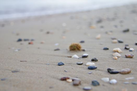 Photo shows a detail of the various stones on the sandy beach.